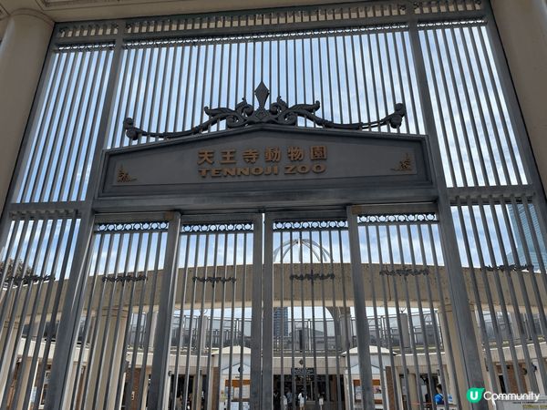 可以去小朋友去大板天王寺動物園看不同類型的動物，場內很大，小...