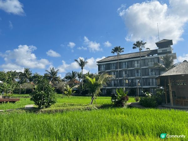 峇里島慢活生活，體驗大自然之美