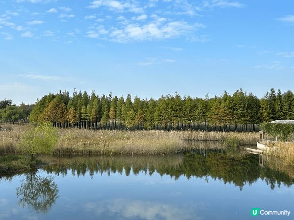與香港只有3個多小時高鐵距離的湖南長沙，跟大灣區旅遊有著不一...