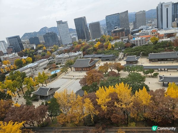 現是去韓國睇銀杏及紅葉的最佳時間