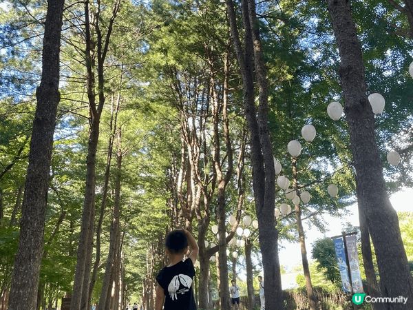 草泥馬，南矣島一日遊