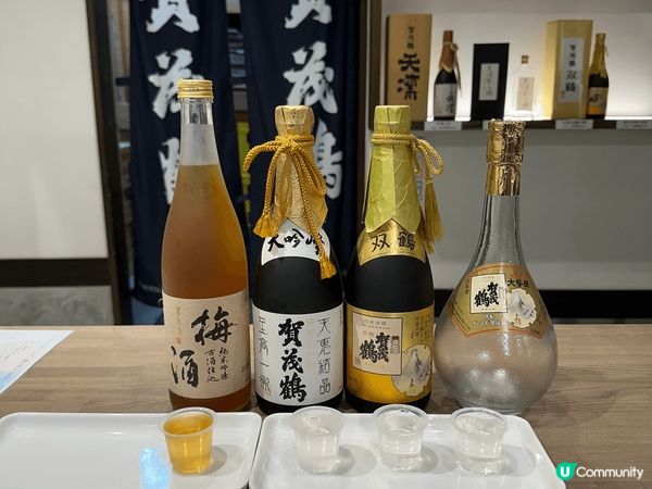 日本廣島大久野島兔仔島，島上兔仔走來走去，十分可愛