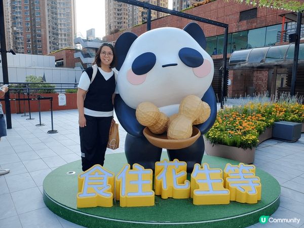 合掌村，日本美景，四季都吸引