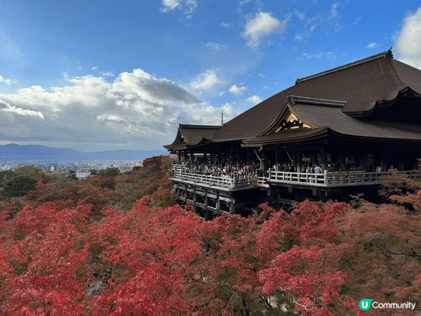 京都 嵐山 小火車 竹林 清水寺，全部都好靚，尤其係秋天紅葉...