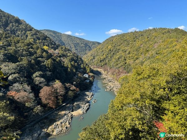 京都 嵐山 小火車 竹林 清水寺，全部都好靚，尤其係秋天紅葉...