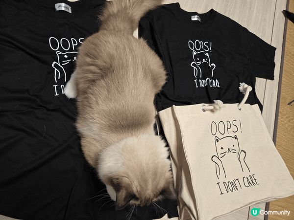 兩隻可愛淘蛋的布偶貓小朋友，貪吃貪玩又好奇，帶給我很多歡樂！...