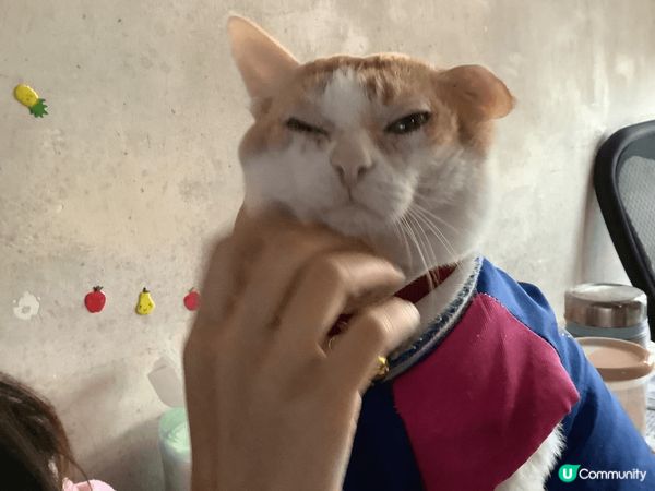 18歲嘅金仔十分可愛健康，因為用左天然嘅沐浴產品保養小身體。...