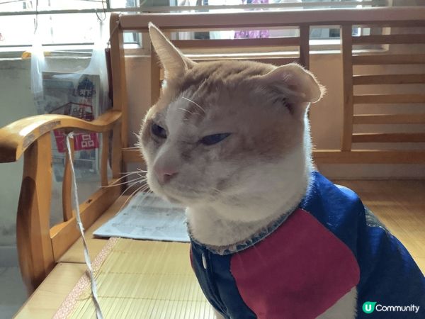 18歲嘅金仔十分可愛健康，因為用左天然嘅沐浴產品保養小身體。...