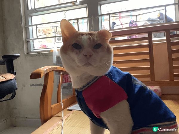 18歲嘅金仔十分可愛健康，因為用左天然嘅沐浴產品保養小身體。...