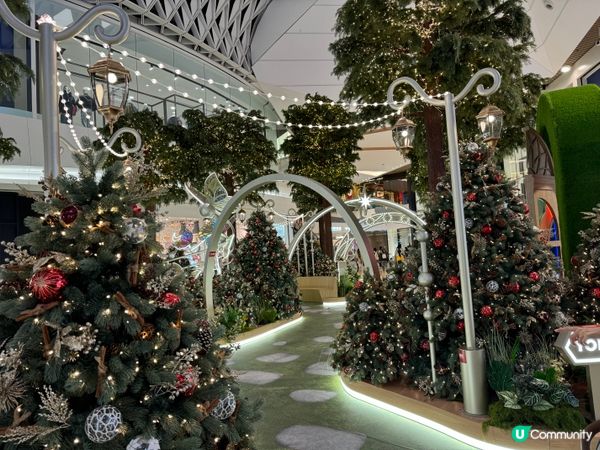 MBTI聖誕主題🤓夢幻聖誕森林🌳勁多打卡位