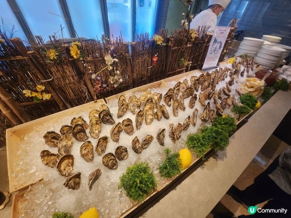 銅鑼灣!生日飯 Mr Steak 自助餐🥳