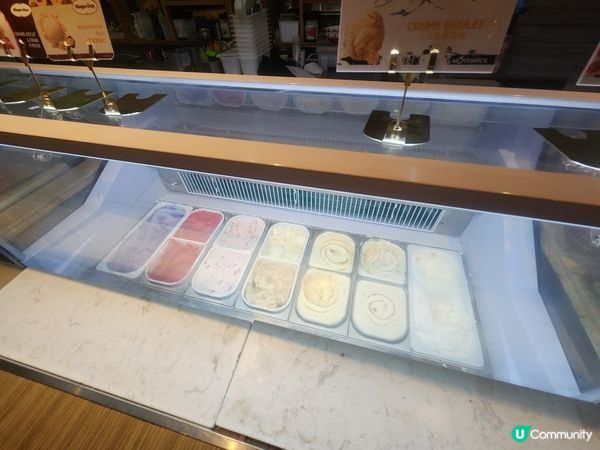 銅鑼灣!生日飯 Mr Steak 自助餐🥳