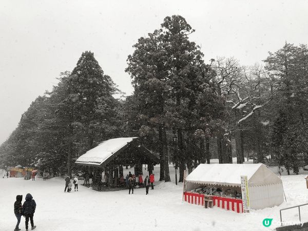 冬天想欣賞雪景首選北海道，無論白之戀人朱古力城、北海道神宮或...