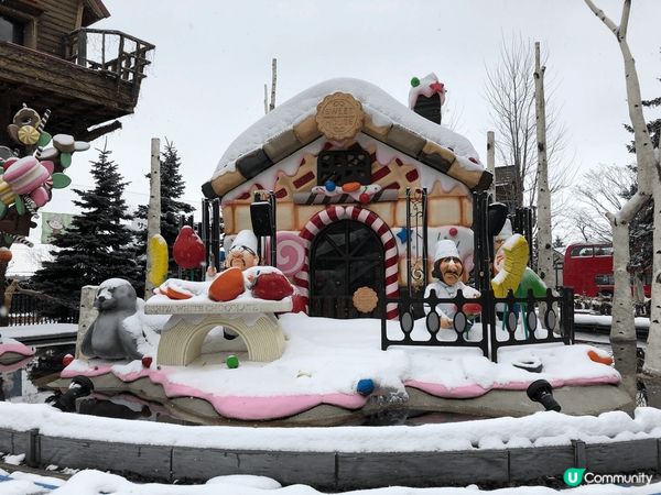 冬天想欣賞雪景首選北海道，無論白之戀人朱古力城、北海道神宮或...