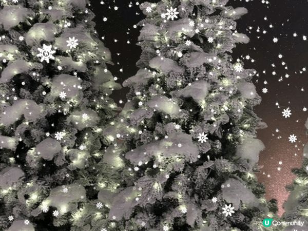 Chanel 今期起銅鑼灣呢個Popup store 佈置得...