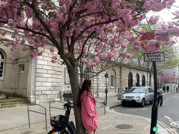 櫻花盛放的時候，在英法兩地浪漫地遊走。