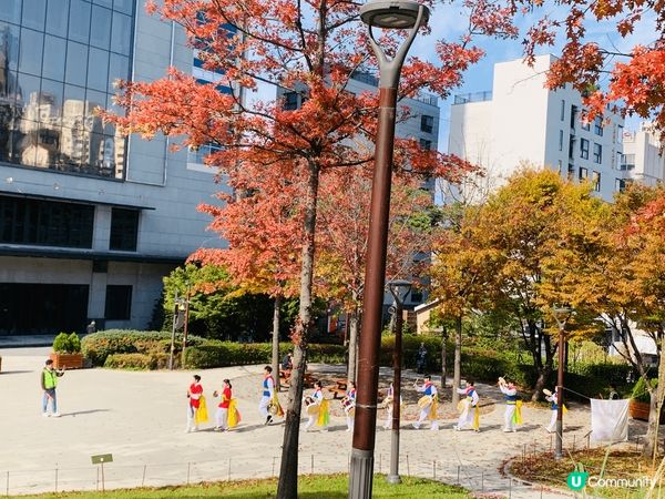 秋天去韓國睇紅葉，雖然未完全變色，但在梨大看到的紅葉，已經很...