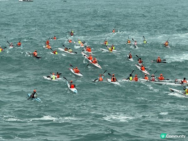 放假出海乘風破浪，到來看看獨木舟風帆比賽，為選手支持打風，別...