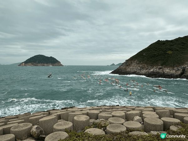 放假出海乘風破浪，到來看看獨木舟風帆比賽，為選手支持打風，別...