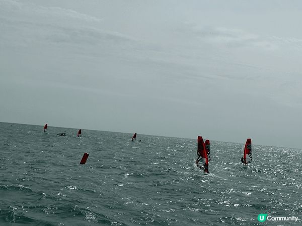 放假出海乘風破浪，到來看看獨木舟風帆比賽，為選手支持打風，別...