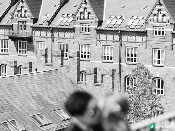 由昔日漁港Bryggen出發到欣賞世界文化遺產之一Nærøy...