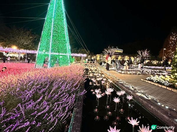 這裏是日本近郊的足利花園，是一個非常值得去的公園，四季有不同...