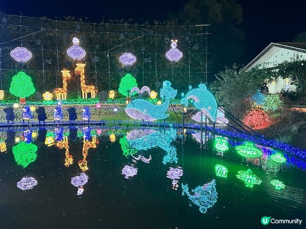 這裏是日本近郊的足利花園，是一個非常值得去的公園，四季有不同...