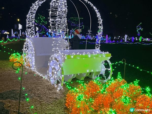 冬天就係要玩雪，玩得特別仲可以去玩狗拉車，睇極光，傳說睇到會...