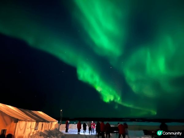 冬天就係要玩雪，玩得特別仲可以去玩狗拉車，睇極光，傳說睇到會...