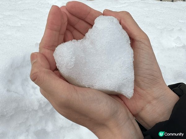 今次東京之行其中兩天選擇了遠離繁囂的城市，到近郊越後湯澤走一...