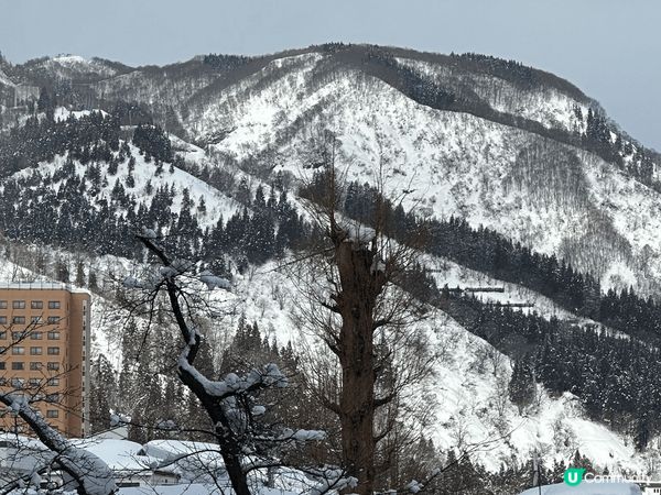 今次東京之行其中兩天選擇了遠離繁囂的城市，到近郊越後湯澤走一...