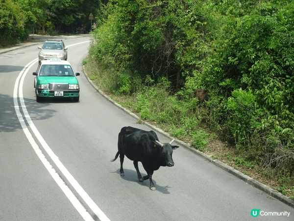 西貢黃石碼頭是郊遊好去處，行山又得BBQ更寫意，呢度風景如畫...