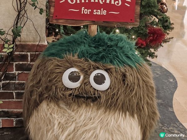 今年，太古廣場將為熱愛聖誕的您呈獻一場超乎想像的盛大聖誕慶典...