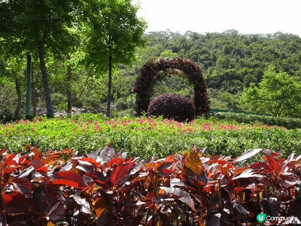佐敦谷公園是親子好地方，因為交通方便，配套設施又多，野餐露營...