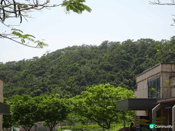 佐敦谷公園是親子好地方，因為交通方便，配套設施又多，野餐露營...