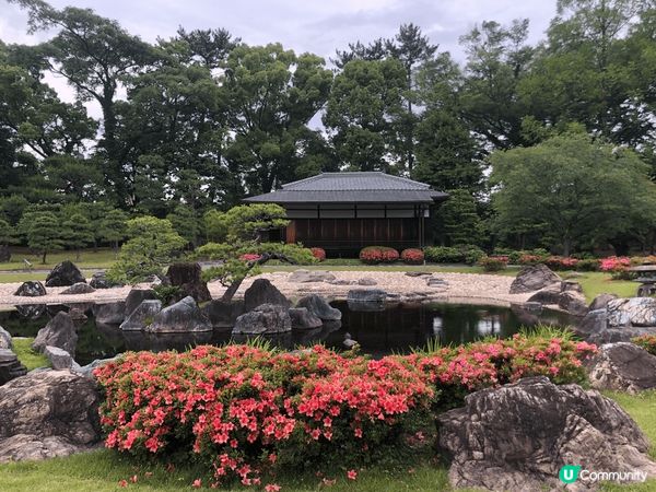 雖然未能在開花季節去京都御園欣賞繁花似錦或一片火紅的紅葉的景...