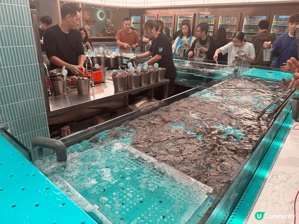 香港少見的即撈海鮮火鍋放題 材料新鮮 值得一試