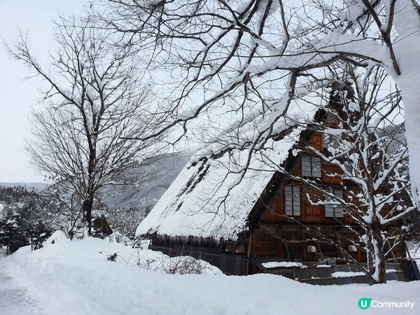 日本白川鄉，非常有特色的合掌屋在雪景中份外吸引，一月份的晚上...