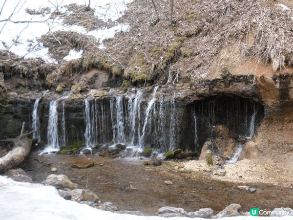 白絲瀑布（白糸の滝）喺輕井澤都係出名嘅景點，整面瀑布有成大約...