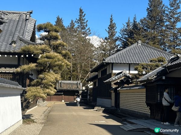 快到聖誕節，來日本日光江戶村，體驗江戶時代風情🇯🇵。江戶村內...