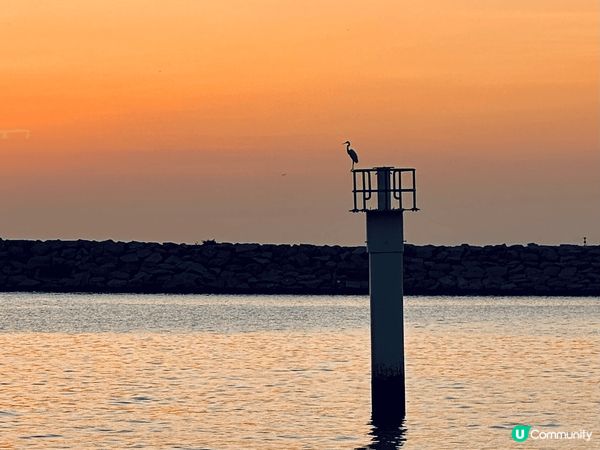 🐬大澳水鄉 - 一個非常有香港特色值得去欣賞的地方，亦是一個...