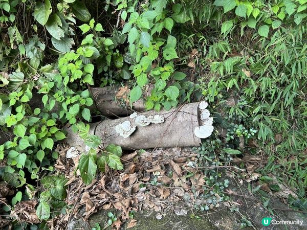 水浪窩觀星台📸 郊遊打卡好去處🤩 一落車就到‼️