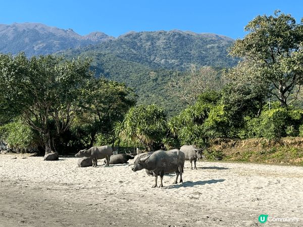 梅窩-今年香港流行北上消費，北上消費固然便宜，但香港有得天獨...