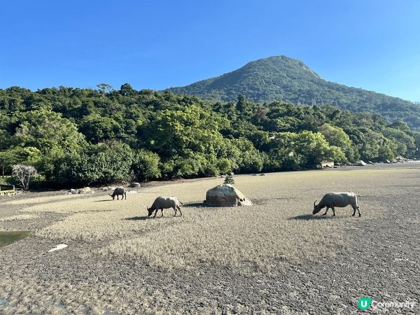 梅窩-今年香港流行北上消費，北上消費固然便宜，但香港有得天獨...