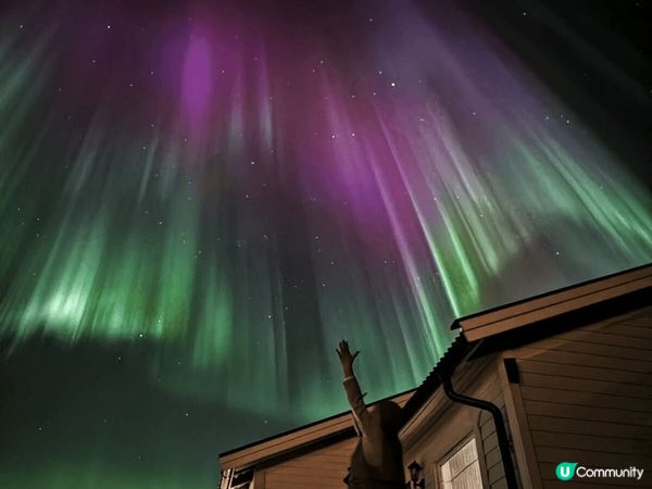 Lets go Tromso! It is so nice ...