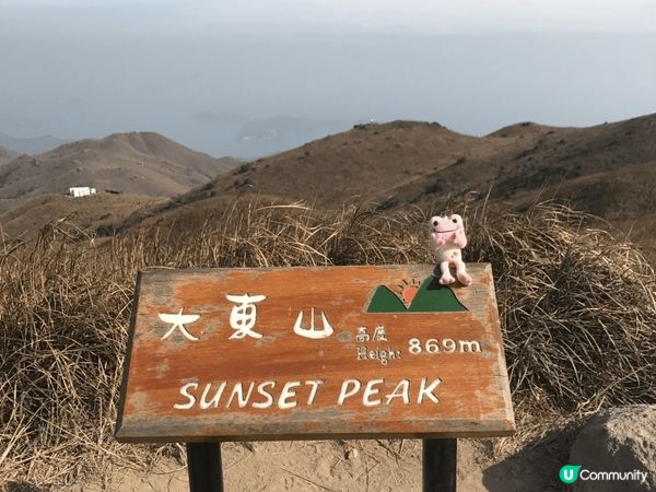 大東山，香港第三高峰山，秋季更有芒草更靚，
