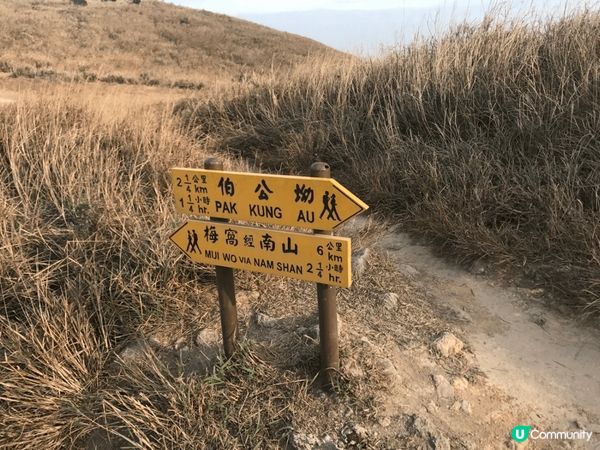 大東山，香港第三高峰山，秋季更有芒草更靚，