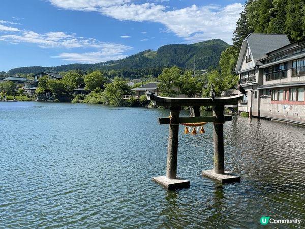 日本九州好多自然風景都好靚好chill,好適合生活忙碌嘅香港...