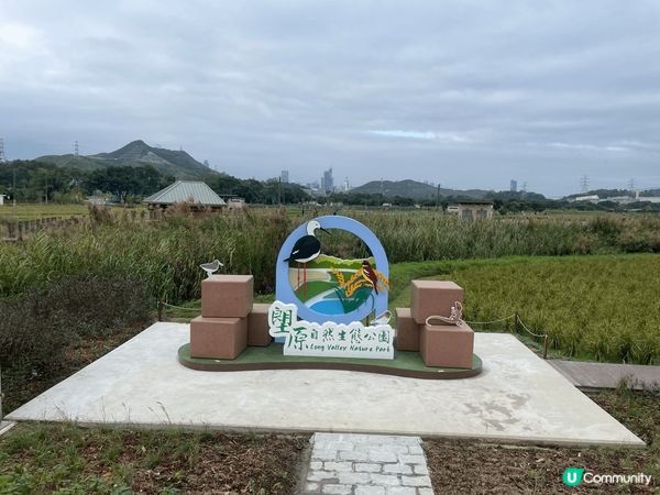 此公園在11月才命名為政府公園，一直以來都只在泥濘路行走，但...