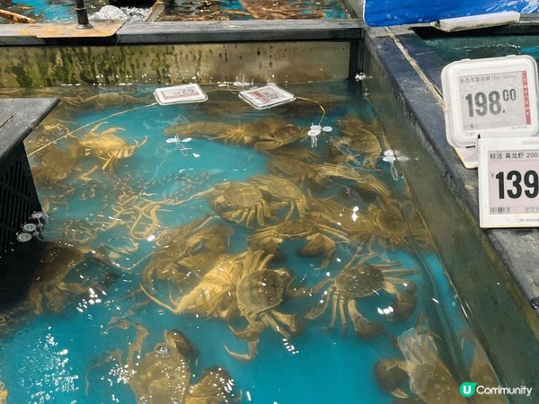 深圳美食多籮籮,過去一年都試過好多間餐廳｡今次結集一下好味食...